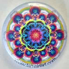 1 INCH
MULTI 5